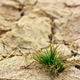 Illustration for article titled Soil Contamination Assessment Is the Job of Environmental Consultantsem/em